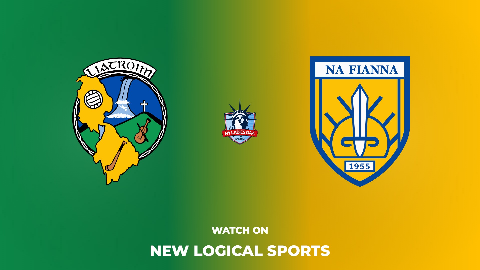 Leitrim NY vs Na Fianna