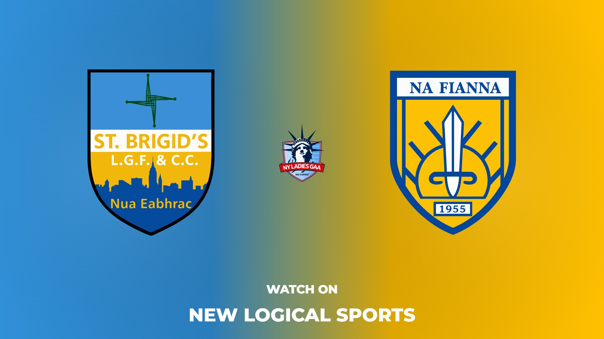 St. Brigid's vs Na Fianna